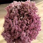 Limonium pink