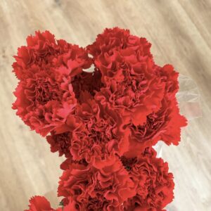 Carnation red