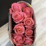 Ace Pink