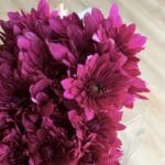 كريز بنفسجي 5اغصان