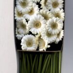 Gerbera white 3
