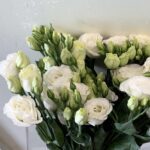 Eustomia white - 10 pic