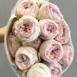 Garden Light Pink