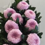 كريز دائري وردي