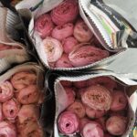 baby garden pink
