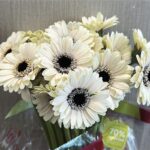 MINI GIREBERA WHITE