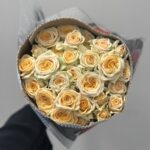 بيبي بطيخي2