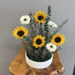 فازة دوار الشمس