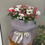 بوكيه بيبي فوشي