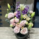 فازه هولنديه