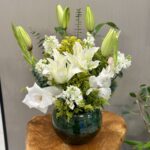 فازه هولنديه