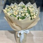 بوكيه بيبي بطيخي