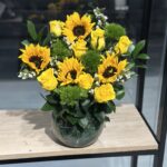 فازه دوار الشمس