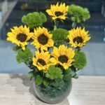 فازه دوار الشمس