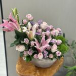 فازه متنوعه 1