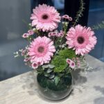 فازه جريبيرا