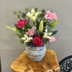 فازه هولنديه متنوعه