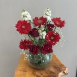 فازه متنوعه2