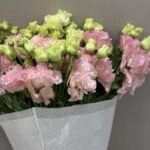 استوما وردي