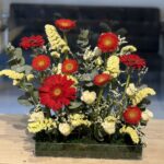 قاعدة جريبيرا