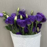 Eustomia purple - 5 pic