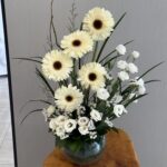 فازة استوما