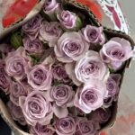 spray purple