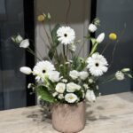 فازة هولنديه