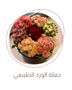 ورود طبيعية