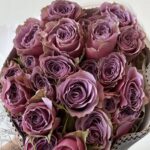 BABY PURPLE