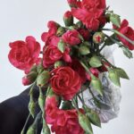 Baby Carnation fuchsia