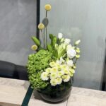 فازه هولنديه