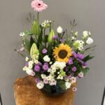 فازه استر متنوعه