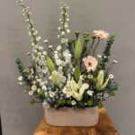 فازه هولنديه متنوعه