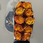 Rose orange 2