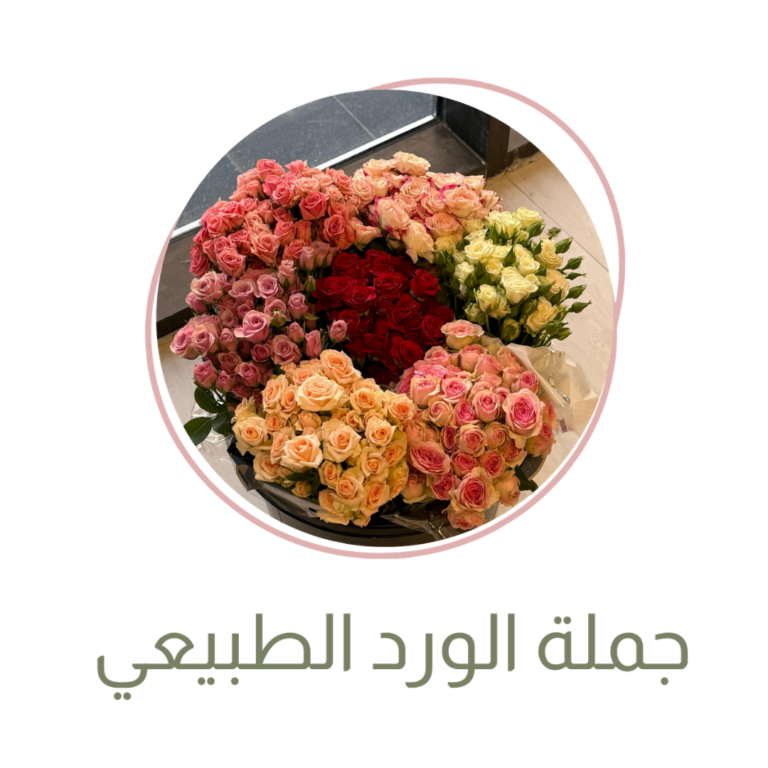 ورود طبيعية