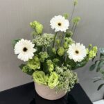 فازه هولنديه
