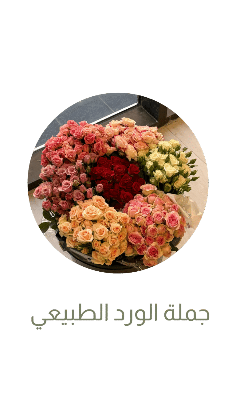 ورود طبيعية