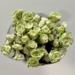 بيبي Green