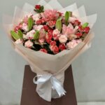 ميـــــرا